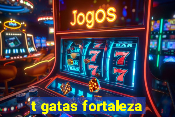 t gatas fortaleza